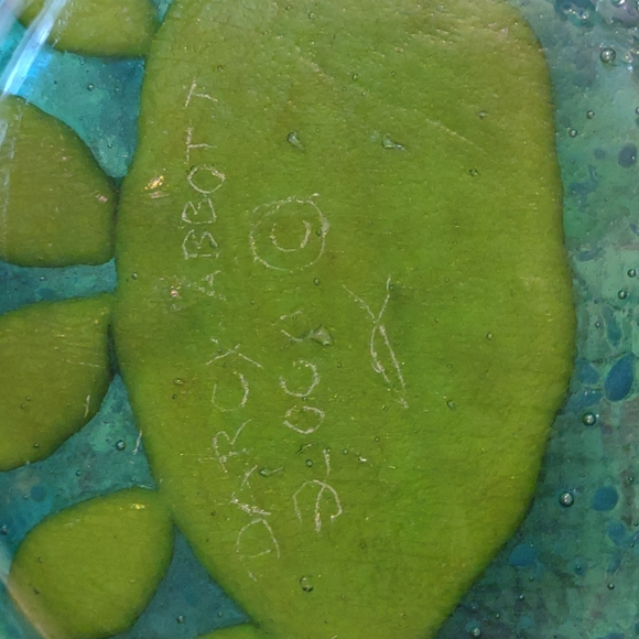 Darcy Abbott Fused Glass Crab Bowl - Picture 4 of 4